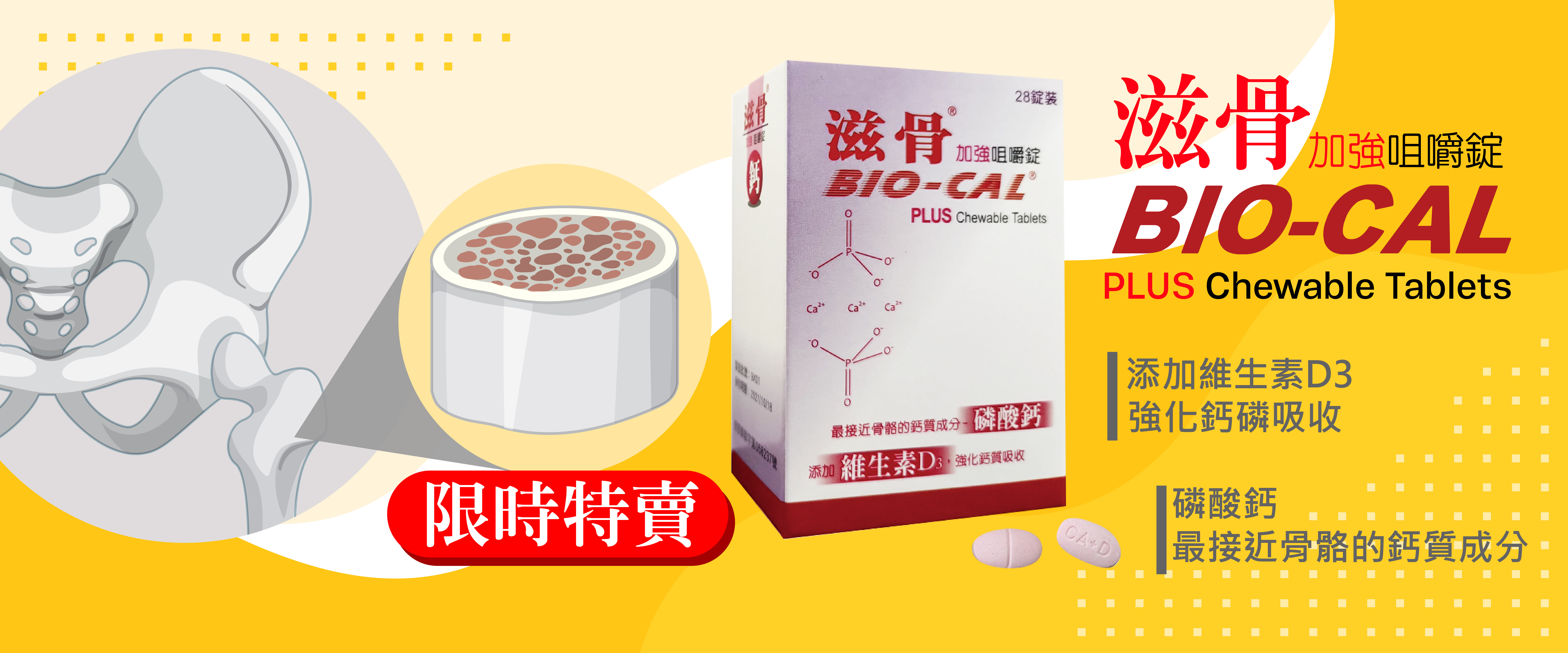 滋骨